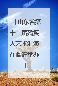 山东省第十一届残疾人艺术汇演在临沂举办