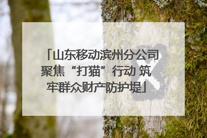 山东移动滨州分公司聚焦“打猫”行动 筑牢群众财产防护堤