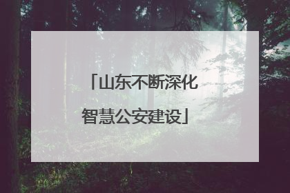 山东不断深化智慧公安建设
