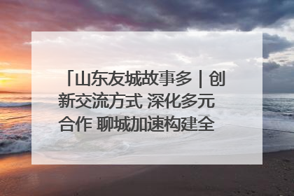 山东友城故事多｜创新交流方式 深化多元合作 聊城加速构建全球友城新格局