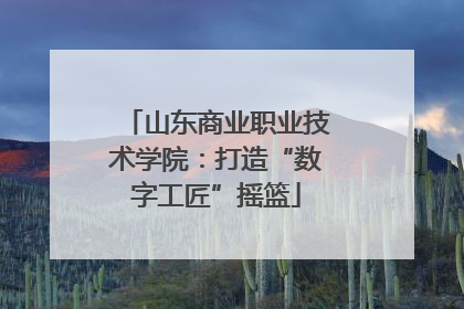 山东商业职业技术学院：打造“数字工匠”摇篮