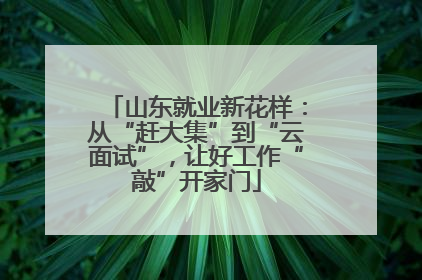 山东就业新花样：从“赶大集”到“云面试”，让好工作“敲”开家门