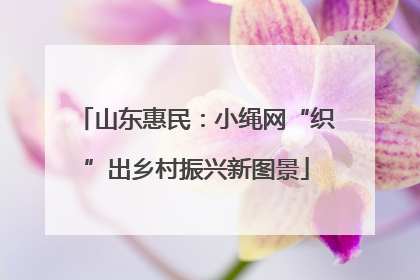 山东惠民：小绳网“织”出乡村振兴新图景