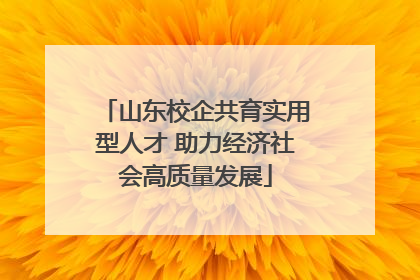 山东校企共育实用型人才 助力经济社会高质量发展