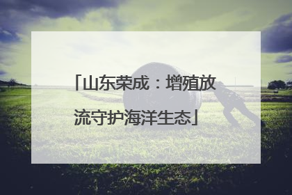 山东荣成：增殖放流守护海洋生态