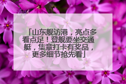 山东舰访港，亮点多看点足！登舰要坐交通艇，集章打卡有奖品，更多细节抢先看
