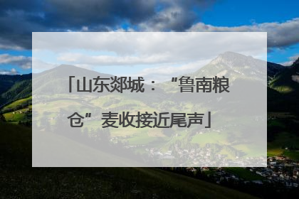 山东郯城：“鲁南粮仓”麦收接近尾声