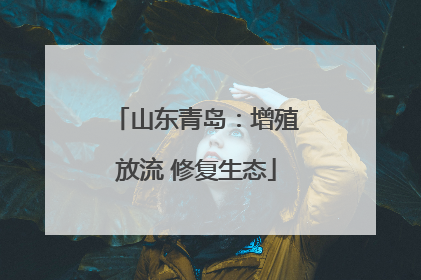 山东青岛：增殖放流 修复生态
