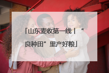 山东麦收第一线丨“良种田”里产好粮