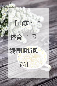 山东：“体育+”引领假期新风尚