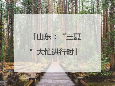 山东：“三夏”大忙进行时