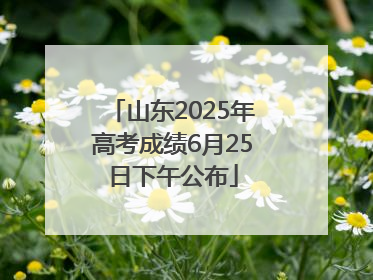 山东2025年高考成绩6月25日下午公布