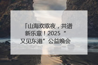 山海欢歌夜，共谱新乐章！2025“又见东港”公益晚会奏响文旅强音
