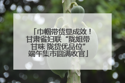 巾帼带货显成效！甘肃省妇联“陇姐带甘味 陇货优品位”端午集市圆满收官