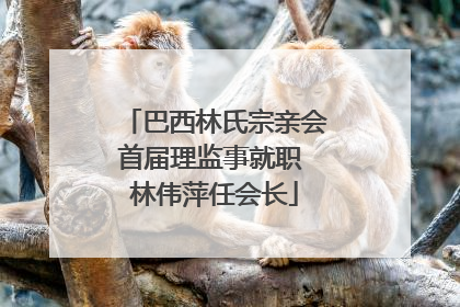 巴西林氏宗亲会首届理监事就职 林伟萍任会长