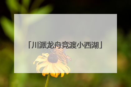 川派龙舟竞渡小西湖