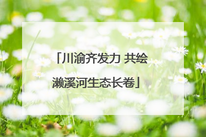 川渝齐发力 共绘濑溪河生态长卷