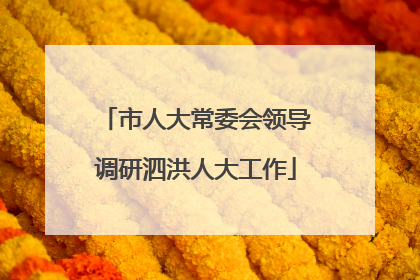 市人大常委会领导调研泗洪人大工作