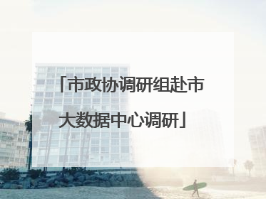 市政协调研组赴市大数据中心调研