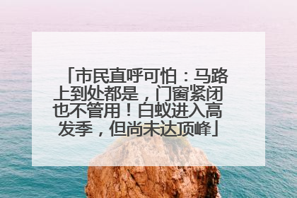市民直呼可怕：马路上到处都是，门窗紧闭也不管用！白蚁进入高发季，但尚未达顶峰
