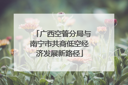 广西空管分局与南宁市共商低空经济发展新路径