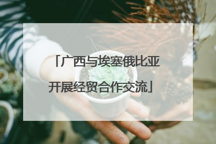 广西与埃塞俄比亚开展经贸合作交流