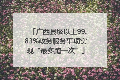 广西县级以上99.83%政务服务事项实现“最多跑一次”