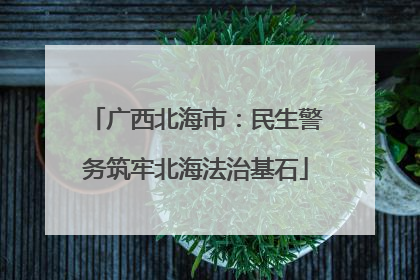 广西北海市：民生警务筑牢北海法治基石