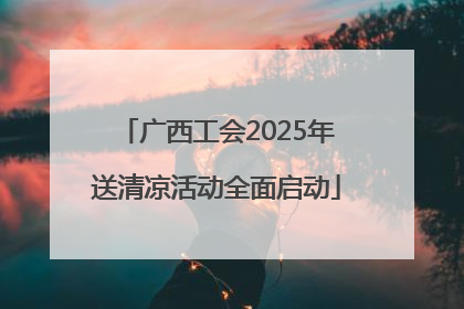 广西工会2025年送清凉活动全面启动