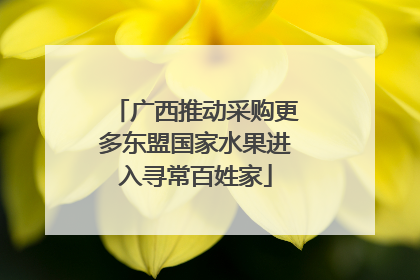广西推动采购更多东盟国家水果进入寻常百姓家
