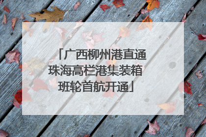 广西柳州港直通珠海高栏港集装箱班轮首航开通