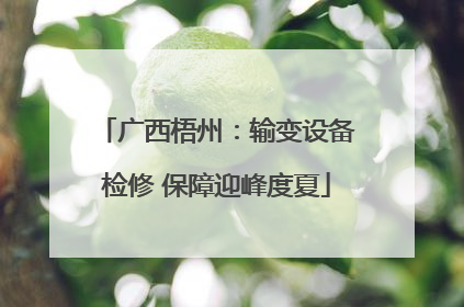 广西梧州：输变设备检修 保障迎峰度夏