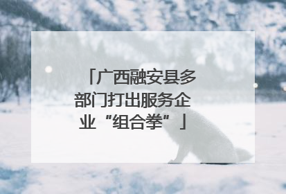 广西融安县多部门打出服务企业“组合拳”