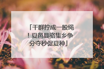 干群拧成一股绳！夏邑县骆集乡争分夺秒促夏种