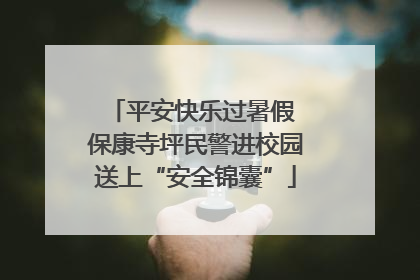 平安快乐过暑假 保康寺坪民警进校园送上“安全锦囊”