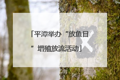 平潭举办“放鱼日”增殖放流活动
