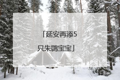 延安再添5只朱鹮宝宝