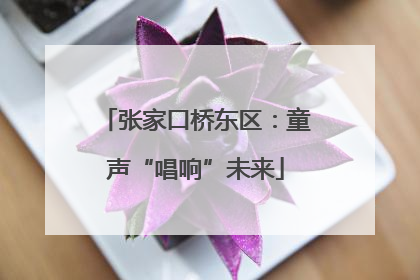 张家口桥东区：童声“唱响”未来