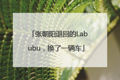 张朝阳退回的Labubu，换了一辆车