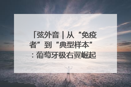 弦外音｜从“免疫者”到“典型样本”：葡萄牙极右翼崛起背后的欧洲困局