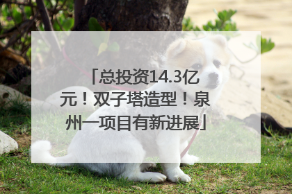 总投资14.3亿元！双子塔造型！泉州一项目有新进展