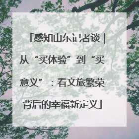 感知山东记者谈｜从“买体验”到“买意义”：看文旅繁荣背后的幸福新定义