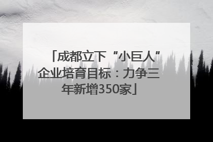 成都立下“小巨人”企业培育目标：力争三年新增350家