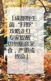 成都野生菌“打野”攻略走红 专家提醒：切勿随意采食，严重或致命