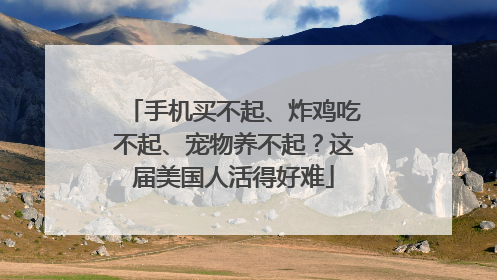 手机买不起、炸鸡吃不起、宠物养不起？这届美国人活得好难