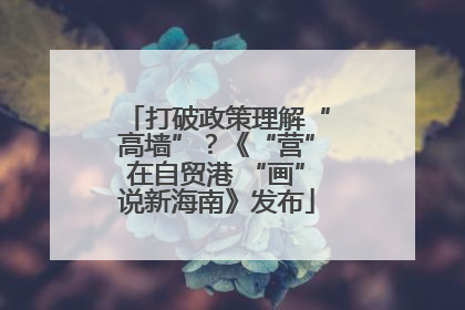 打破政策理解“高墙”？《“营”在自贸港 “画”说新海南》发布