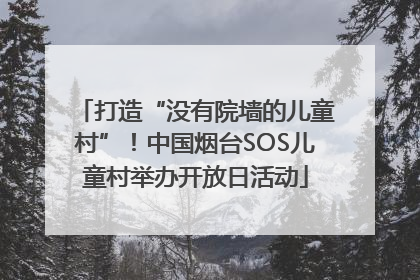打造“没有院墙的儿童村”！中国烟台SOS儿童村举办开放日活动