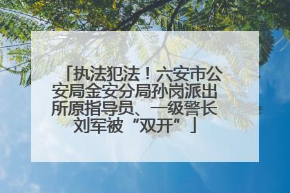 执法犯法！六安市公安局金安分局孙岗派出所原指导员、一级警长刘军被“双开”