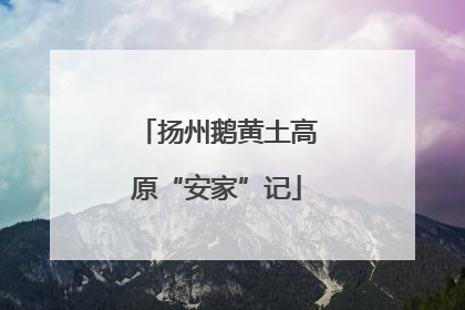 扬州鹅黄土高原“安家”记