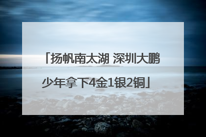 扬帆南太湖 深圳大鹏少年拿下4金1银2铜